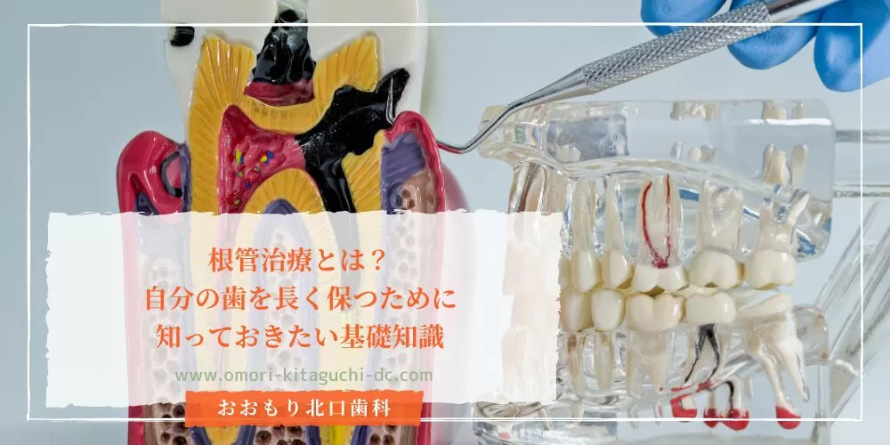 根管治療とは？自分の歯を長く保つために知っておきたい基礎知識